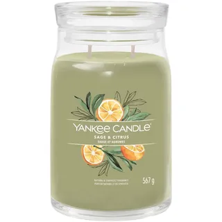 Yankee Candle Sage & Citrus Duftkerze 567 g grün