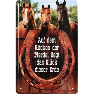 WOGEKA ART Retro Blechschild - Auf dem Rücken der Pferde liegt das Glück der Erde - witziger Spruch Geschenk-Idee Geburtstag Weihnachten Deko 20x30 cm Vintage-Design Metall 121