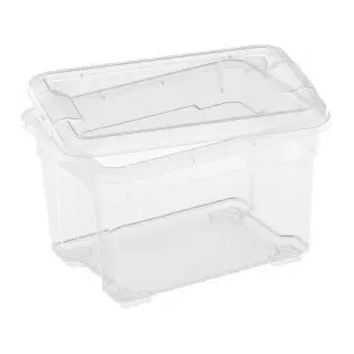 Santos Box Mini mit Deckel 1,5 l Transparent