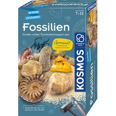 KOSMOS 657918 Fossilien Ausgrabungs-Set, Grabe echte Versteinerungen und Bernstein selbst aus, mit Hammer und Meißel, Experimentierset für Kinder ab 7 Jahre