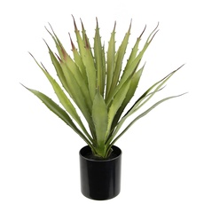 Bild I.GE.A. Kunstpflanze Agave Aloe Vera im Topf Kunstpflanze«, Kaktus Kakteen