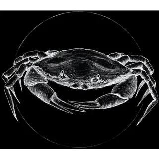 KOMAR Wandbild Crab Black 50 x 70 cm