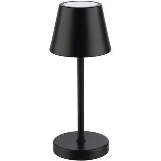 APS MERLE MICRO Schwarz 2