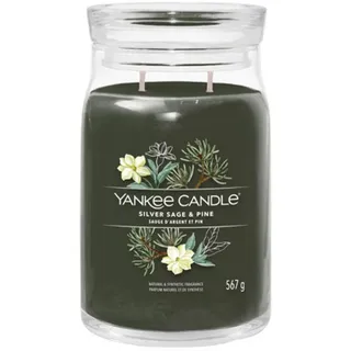 Yankee Candle Silver Sage & Pine große Duftkerze 567 g