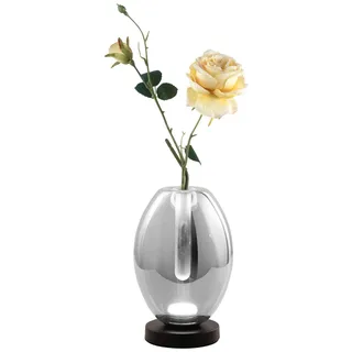 Fabas Luce LED-Glasvasenleuchte TULLY