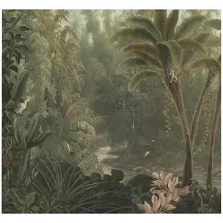 Art for the home Fototapete Jungle 280 x 300 cm