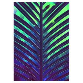KOMAR Wandbild Hide 50 x 70 cm