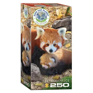 Eurographics Rote Pandas Puzzle Rot/Ausflug, Einfarbig (Getaway Solids)