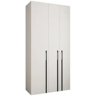 abiks möbel Drehtürenschrank Weiß, Schwarz, Metall, Nachbildung, 120x245.5x50 cm Schlafzimmer, Kleiderschränke, Drehtürenschränke