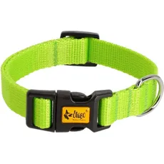Dingo DINGO Energy green - Hundehalsband - 37-61 cm (Hund, Allgemein), Halsband + Leine
