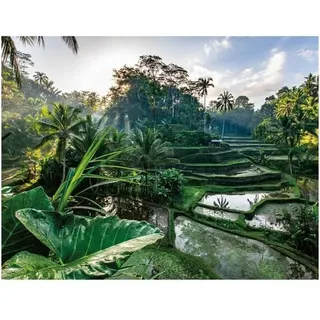 Nathan 12001518 Puzzle mit 2000 Teilen – Im Herzen von Bali – Erwachsene und Kinder ab 14 Jahren – Hochwertiges Puzzle – perfekte Integration – Kollektion Escape