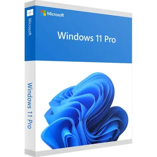 Microsoft Windows 11 Pro 64-Bit ESD DE