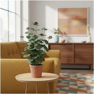 HJH Office Kunstpflanze Eucalyptus, 48 cm – Grün, pflegeleicht, immergrün, realistische Dekopflanze aus hochwertigem Kunststoff für Wohnzimmer, Büro & Hotel