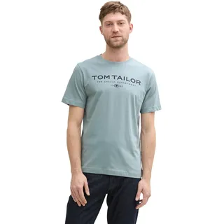 T-Shirt TOM TAILOR, Herren, Gr. L, grau (grau mint), Single Jersey, Obermaterial: 100% Baumwolle, bedruckt, regular fit hüftbedeckend, Rundhals, abgesteppte Kante, Shirts T-Shirt, Sommershirt mit Frontprint