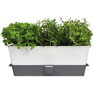 Cole & Mason Kräutertopf Set 3-tlg. weiß/silber