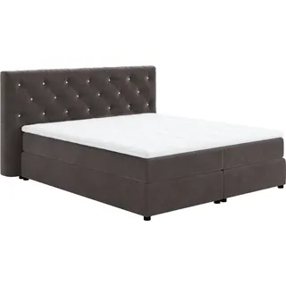 COTTA Boxspringbett "Castle" mit Strasssteinen im Kopfteil, inkl. Topper, stone