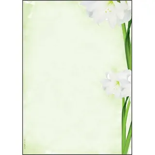 Sigel Sigel, Motivpapier 90 g/m2, 25 x, A4)