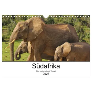 Südafrika - Eine beeindruckende Tierwelt (Wandkalender 2026 DIN A4 quer), CALVENDO Monatskalender: Die Wildtiere Südafrikas eindrucksvoll fotografiert (CALVENDO Tiere)