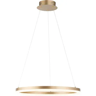 Paul Neuhaus Titus 1-flg. LED 60 cm rund gold