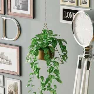 Evila Originals, Harpusta - Gold, Dekorativer Topf, Gold, 100 % METALL, 35 x 17 x 40 cm - Gold