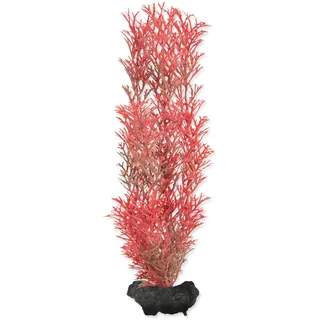 Deko Tetra Pflanze Foxtail Red M 23cm