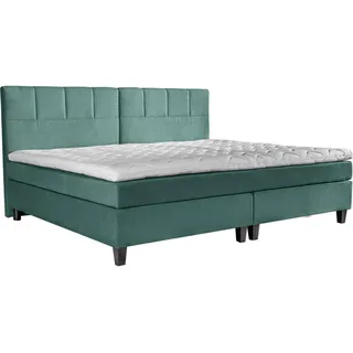 Esposa BOXSPRINGBETT Blau, Grün - 200x200 cm