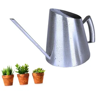 ANDRESLAD Edelstahl Gießkanne Mit Langem Ausguss Gebürstet Für Zimmerpflanzen Und Sukkulenten Indoor Und Outdoor Pflanzbewässerung Robust Korrosionsbeständig Silber