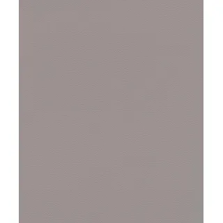 Rasch Textil Rasch Vliestapete 752649 Grau-Hellgrau Uni 10,05 m x 0,53 m
