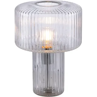 Paul Neuhaus Fungus Transparent 1 St.