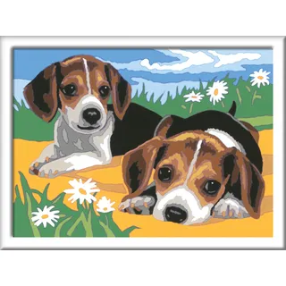 Ravensburger Malen nach Zahlen Jack Russel Welpen 15 St. Gelb/Mehrfarbig