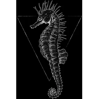 KOMAR Wandbild Sea Horse Black 40 x 50 cm