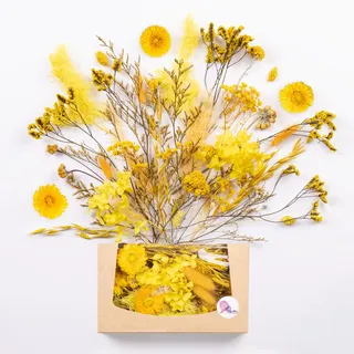 Kunstharz.Art Echte & natürliche getrocknete Blumen als Geschenk zum Muttertag & Ostern, zum Basteln mit Resin oder Osterdekoration, Blüten und Trockenblumen Set, Gastgeschenk für Hochzeit (Gelb)