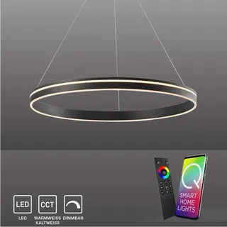 Paul Neuhaus LED Pendellampe CCT Q-Vito Pendelleuchte Ring, dimmbar, Fernbedienung, Alexa anthrazit Wohnzimmer, Esszimmer, Küche 8412-55, 8412-13 - Grau
