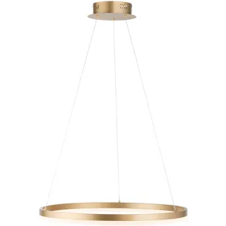 Paul Neuhaus TITUS 1-flg. Ø 60 cm rund gold