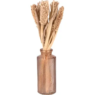 Trockenblumen in Vase Desert Flower 30 cm Hellbraun