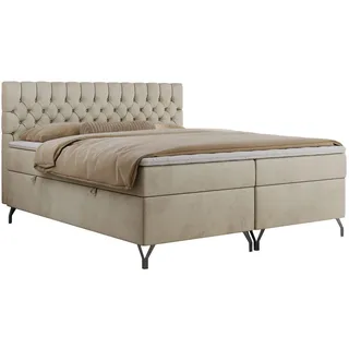 MKS Meble MKS Boxbett Grimaldi 180/200 Beige Velvet - H4, - Textil - H4 - Rechteckig , 180x200, cm , Schlafzimmer, Betten, Boxspringbetten