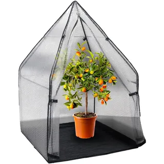 Noor Überwinterungszelt Iglu L 120 cm x 120 cm x 180 cm Transparent