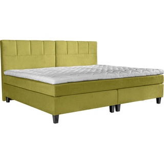 Esposa BOXSPRINGBETT Grün - 160x200 cm