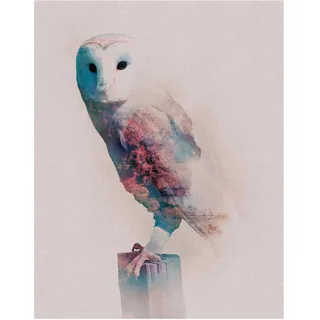 KOMAR "Animals Forest Owl", 40 x 50 cm