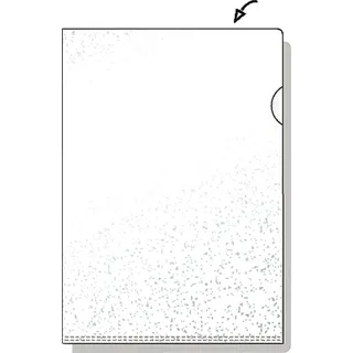 Hetzel Sichthüllen A4/21675090 A4 genarbt 125my