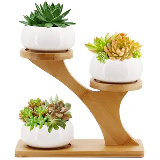 Gearific Sukkulenten Töpfe, keramische Blumentopf mit Bambus Tablett Halter, kleine Kaktus Pflanzer Töpfe für Home Office Desktop Windowsill Dekor (Rund)