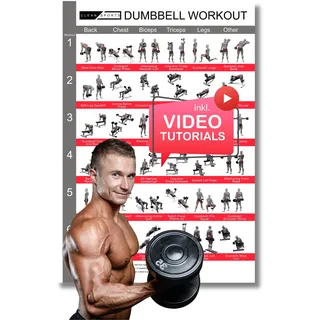 CLEAN SPORTS® Kurzhanteltraining Poster DIN A1 – 36 effektive Übungen & 12 Trainingspläne für Muskelaufbau, Kraft & Definition – Inklusive Videos – Dumbbell Workout Poster für Zuhause & Fitnessstudio