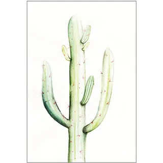 KOMAR Wandbild Saguaro Watercolor 30 x 40 cm