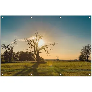 Wallario Outdoor-Poster für Garten oder Balkon, Motiv Alte knochige Bäume bei Sonnenuntergang, in ca. 100 x 150 cm - Gelb