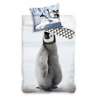 Carbotex Bettwäsche Set 140x200 cm Pinguin Antarktis