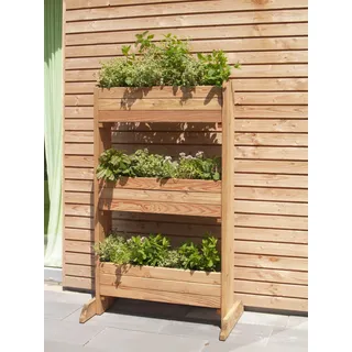 Kräuterregal Lärche 80x22x141 cm