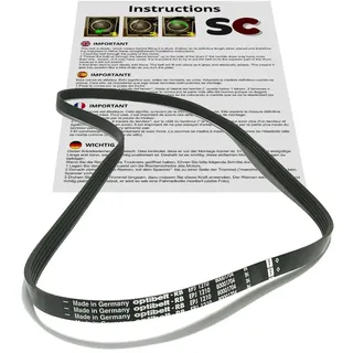 SC Solocorreas - Waschmaschinengurt EPJ 1210
