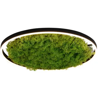 just light. GREEN RITU 1 Stk. LED-Board 59 x 59 cm grün