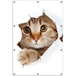 Wallario Outdoor-Poster für Garten oder Balkon, Motiv Katze mit Blick nach vorn, in ca. 100 x 150 cm - Weiß