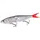 Shimano SHIMANO ARMAJOINT 004 Bw Shad